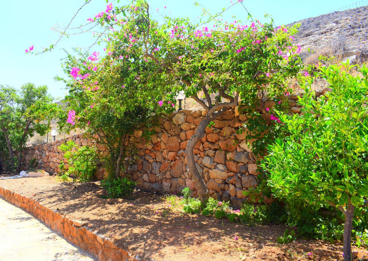 Asteras Apartment *