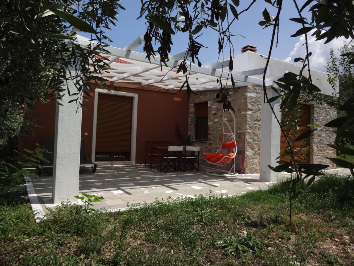 Elea Stone In Organic Quiet Olive Grove, Prinos, Thassos