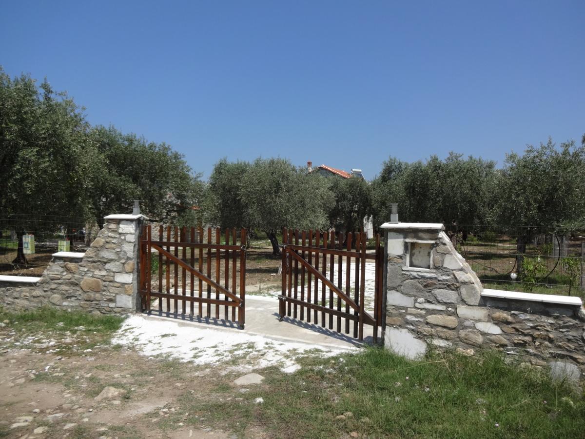 Elea Stone In Organic Quiet Olive Grove, Prinos, Thassos * Prinos (Thasos)