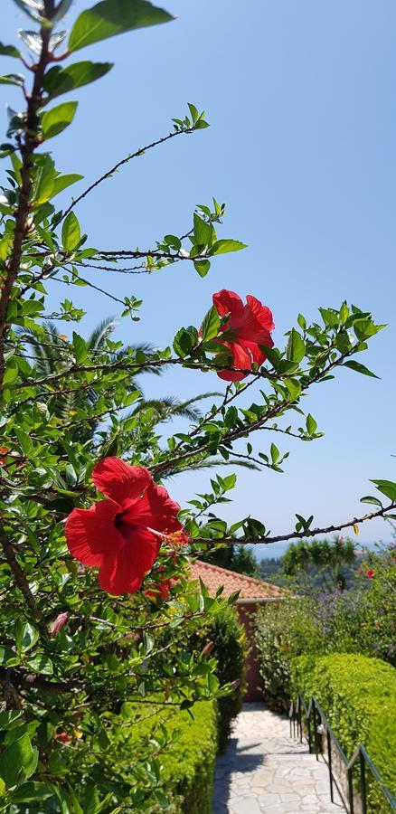 Holiday home Trapezaki Villas