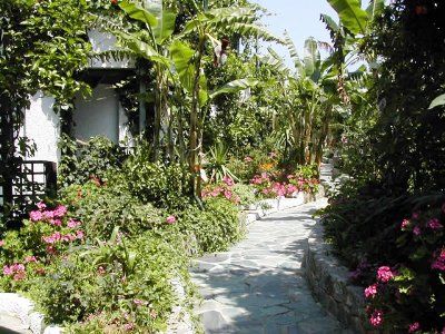 Happy Days Hotel Paralia Kourna