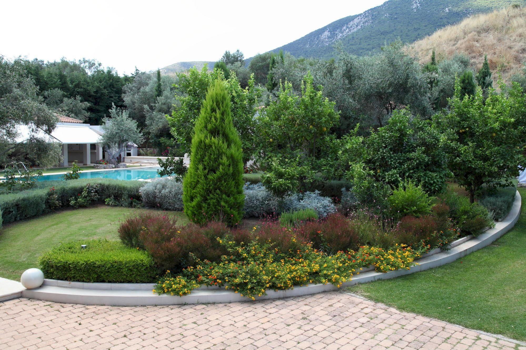 The Marble * Drosia (Central Greece)