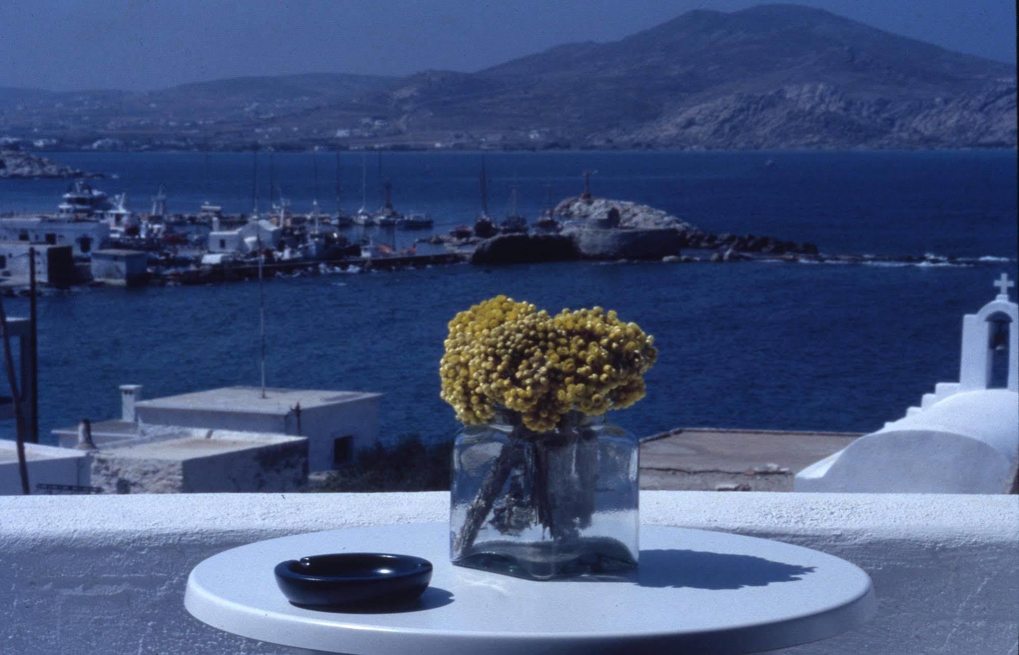 Despina's Mare Naousa (Paros)