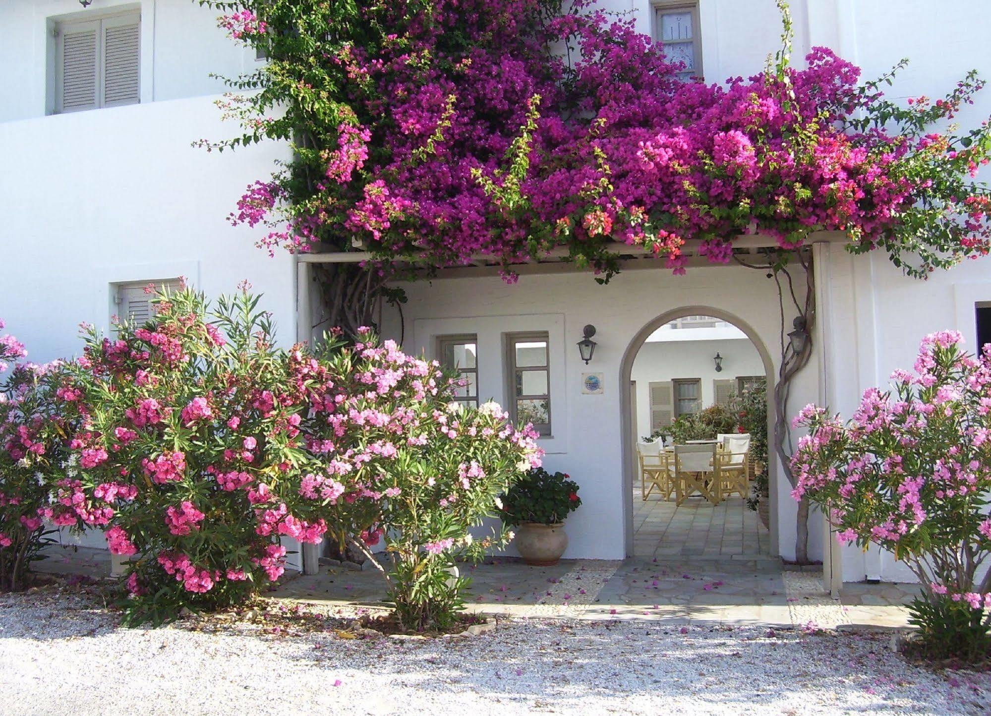 Aparthotel Despina's Mare Naousa (Paros)
