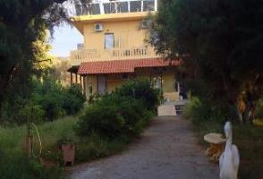 Leonidas & Hotel