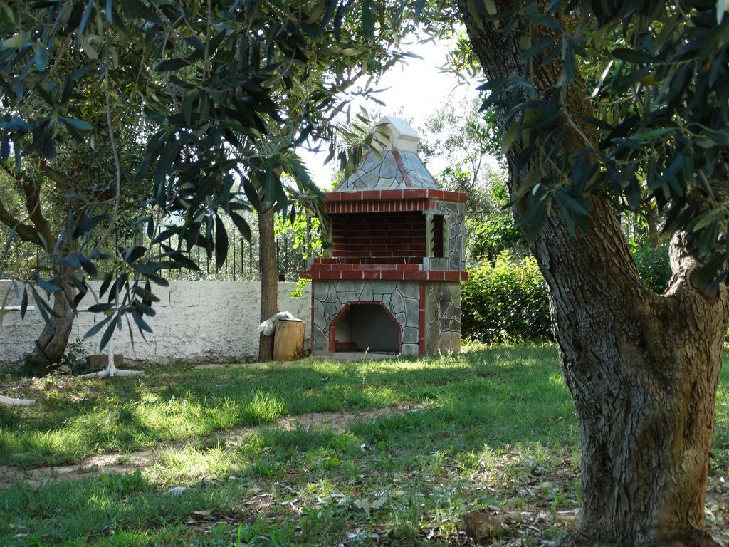 Karpetis A Paradise * Psakoudia