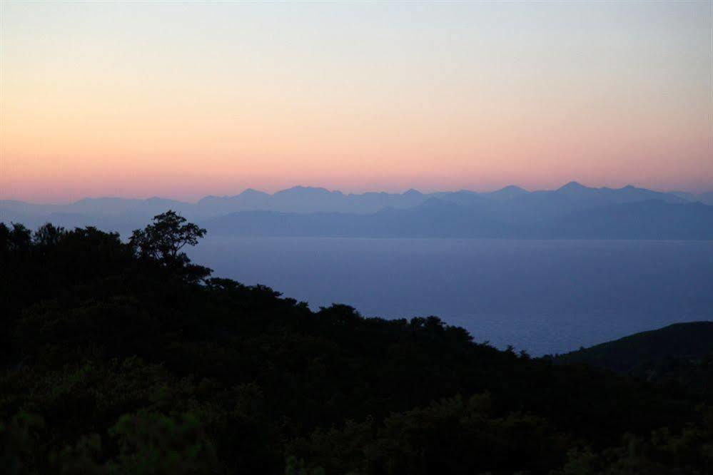 Panorama *