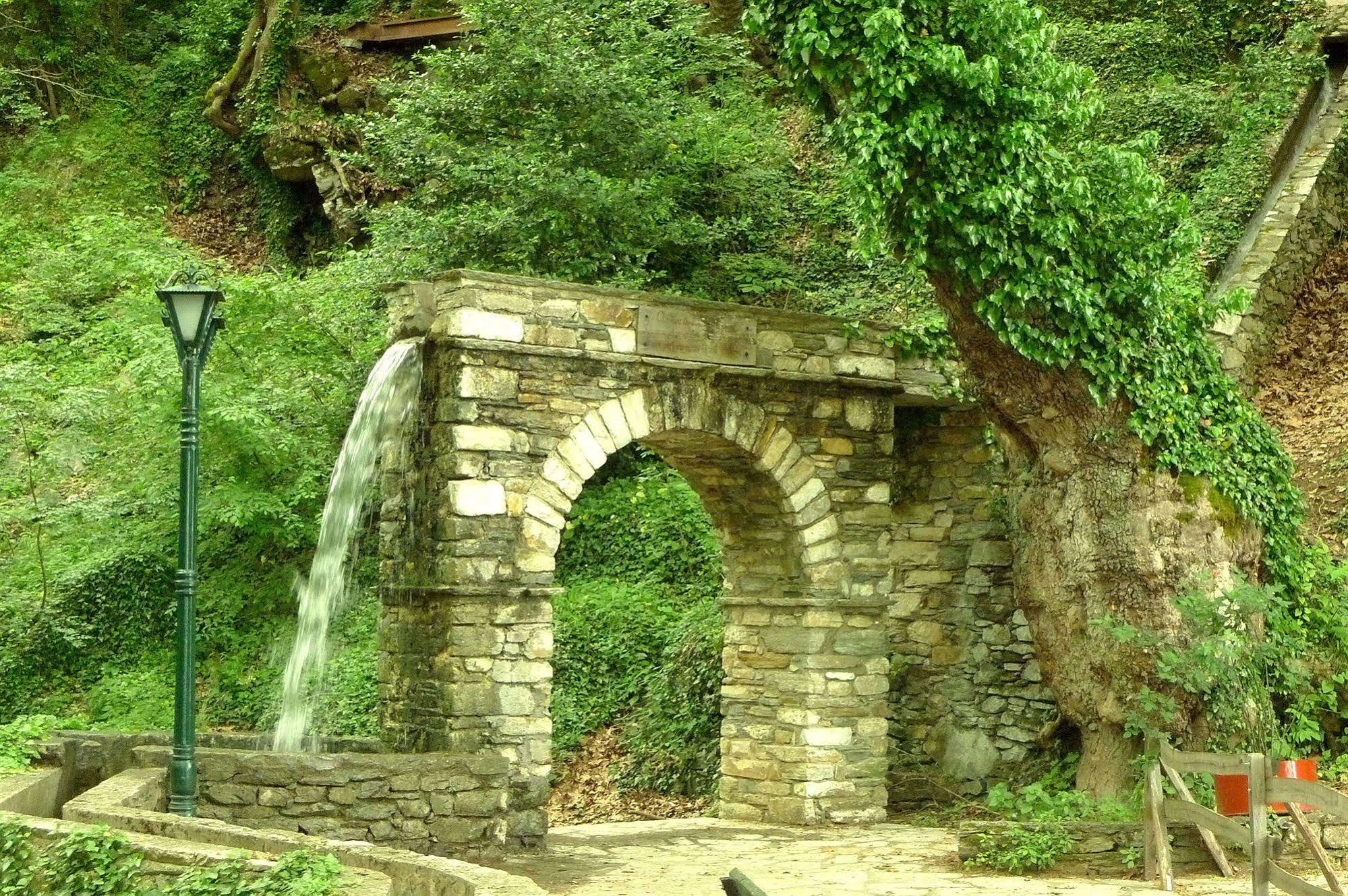 The Lotus Tree Archontiko & Activity Pelion