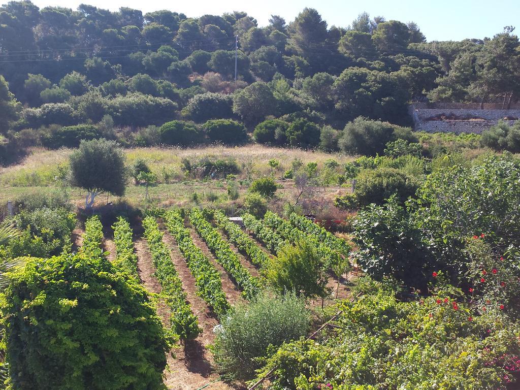 Apartment Kefalonia Seaside Stays Fanari