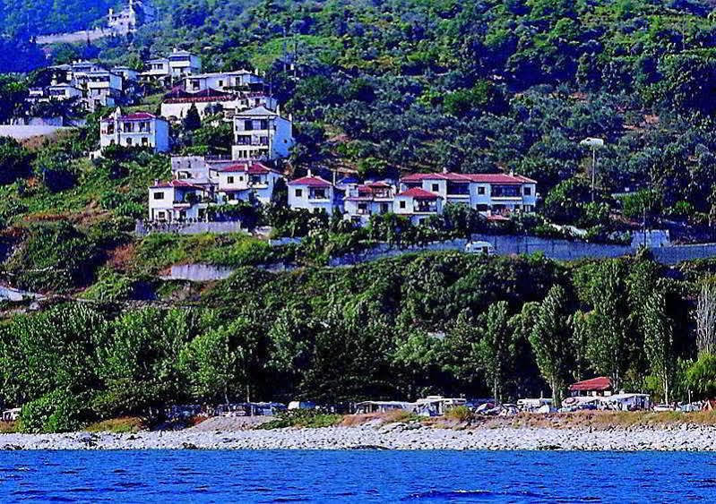 Panorama & Apartment *