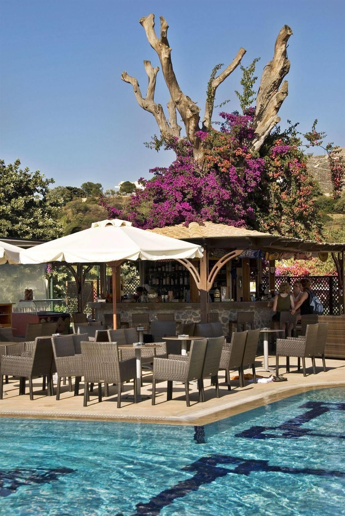 Hotel Crithoni's Paradise Alinda (Leros)
