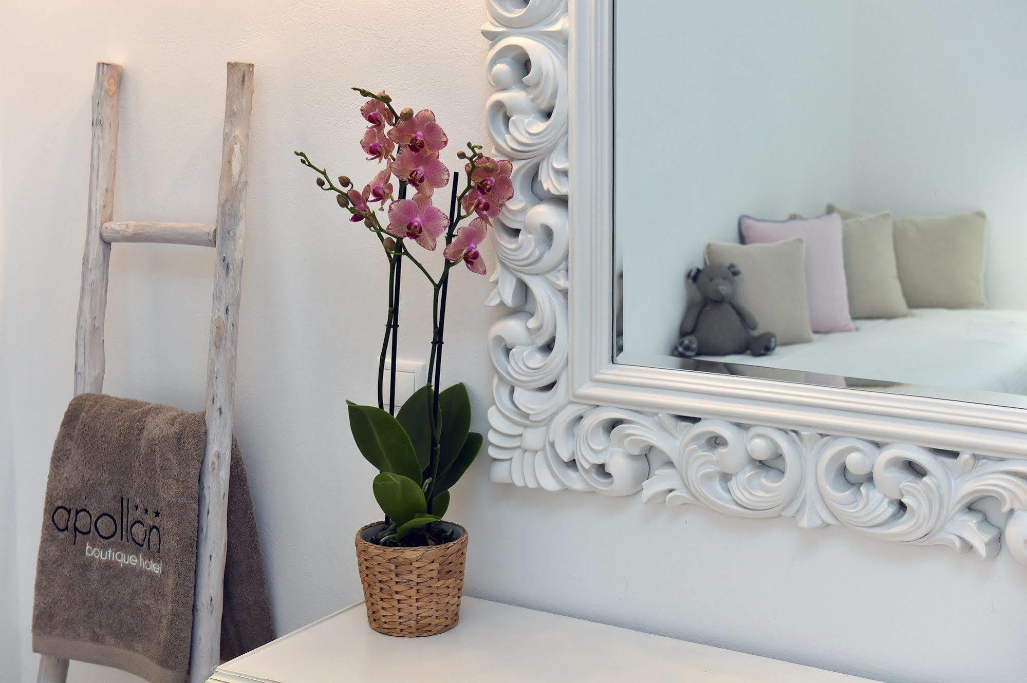Hotel Apollon Boutique