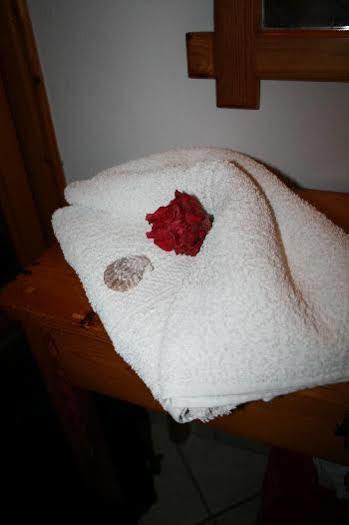 Hotel Arian