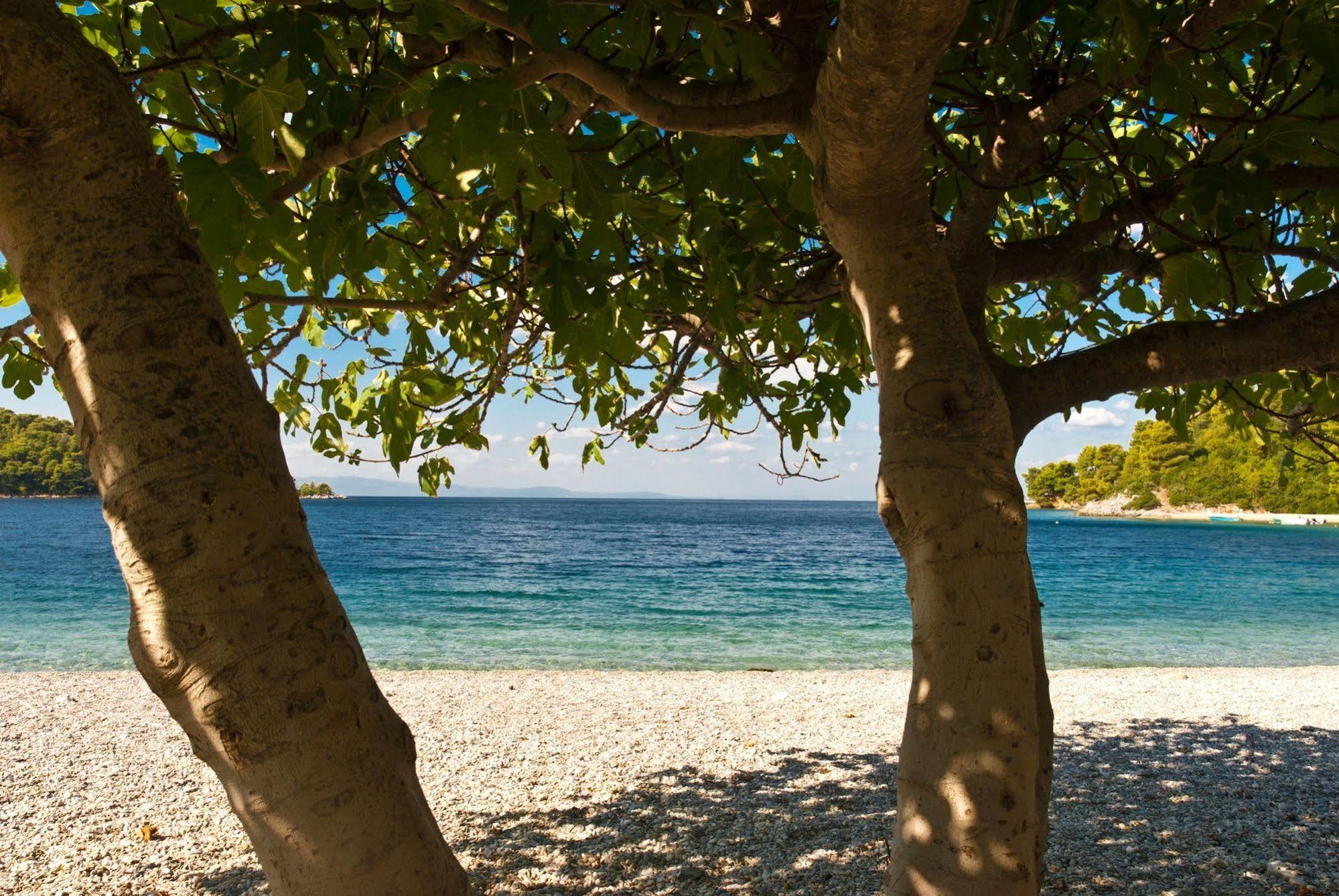 Resort Blue Bay Panormos (Skopelos)