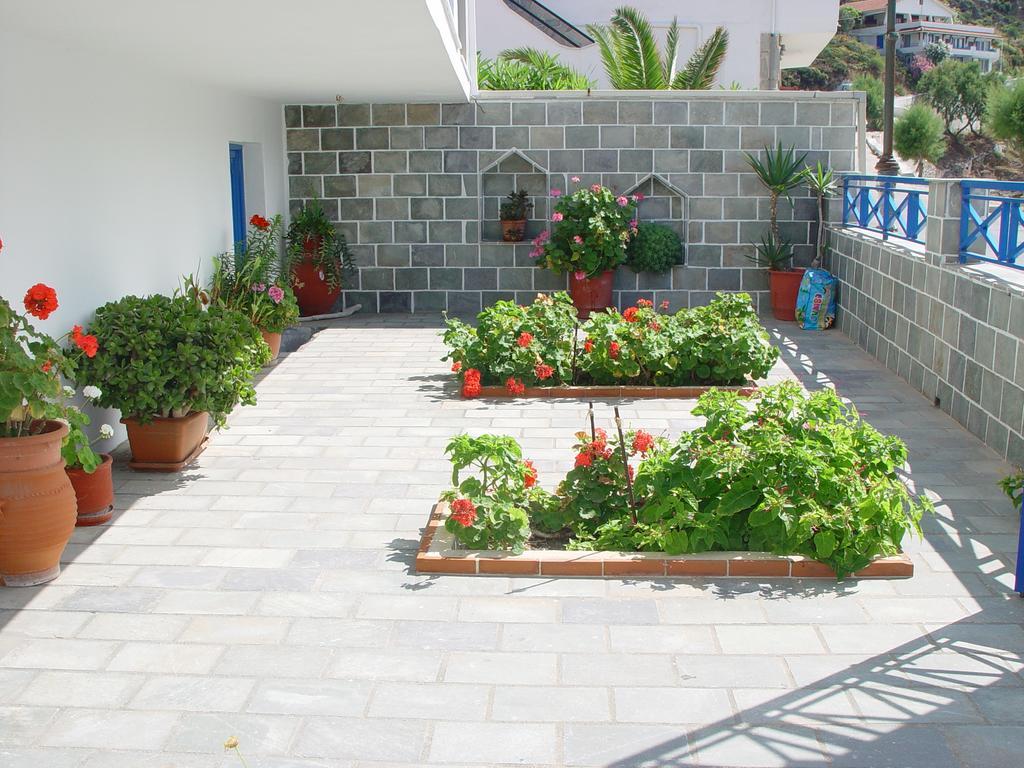Toula Studio