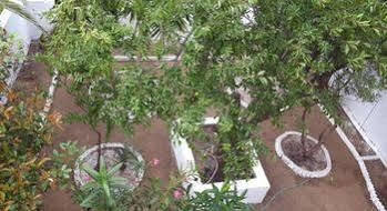 Guest house Laura Skiathos 2*