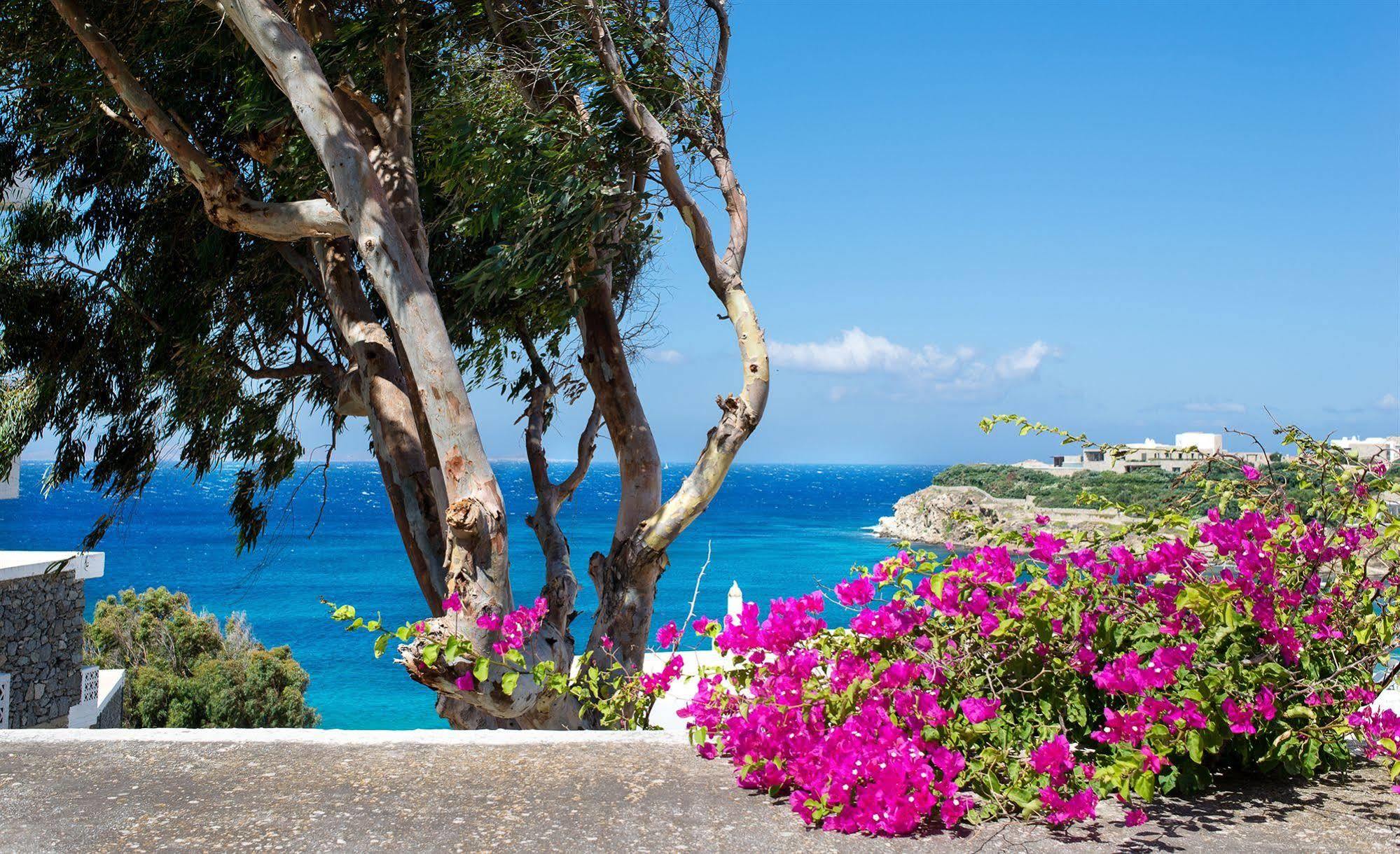 Hotel Alkistis - Adults Only