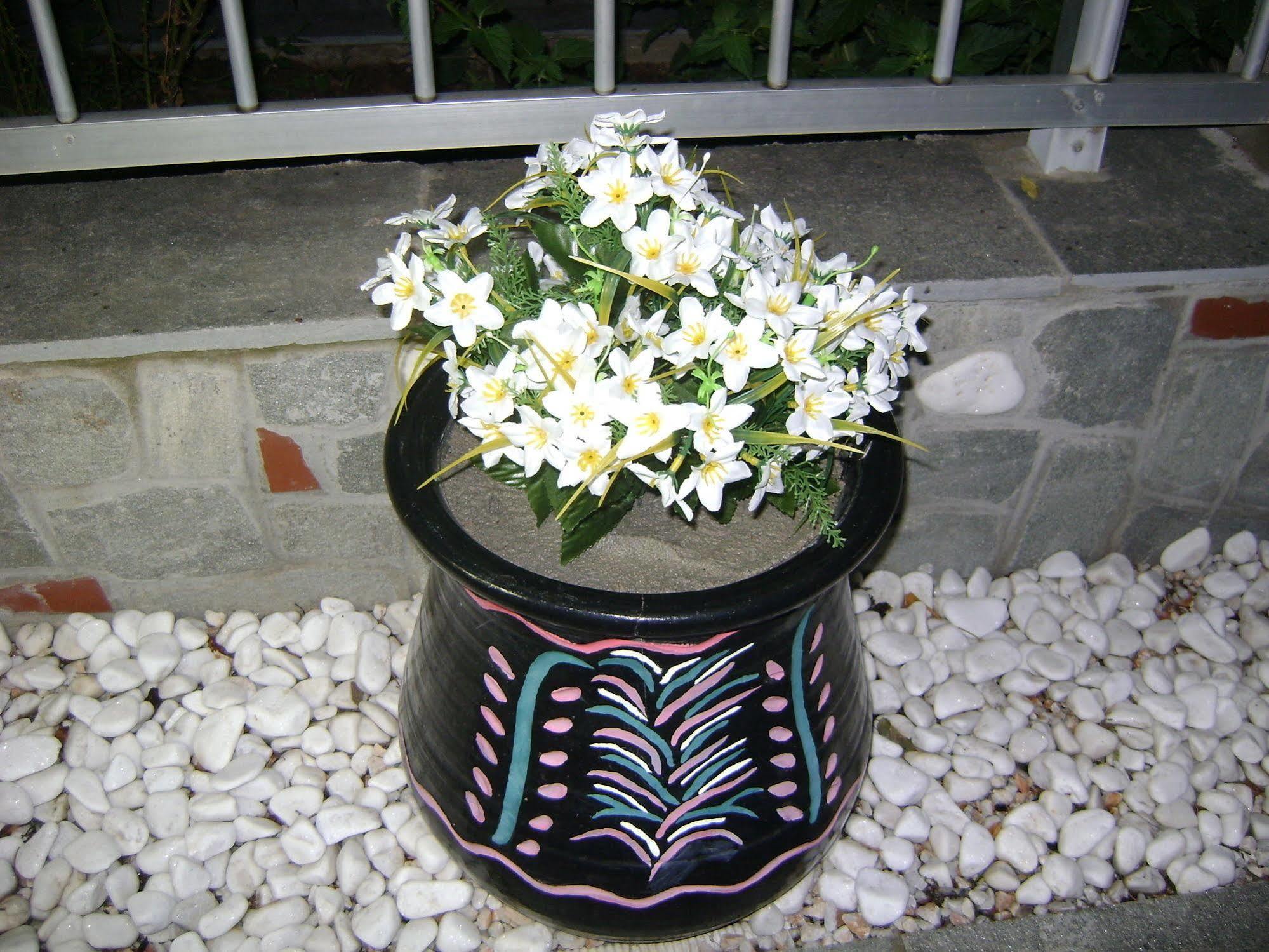 Apartment Markos