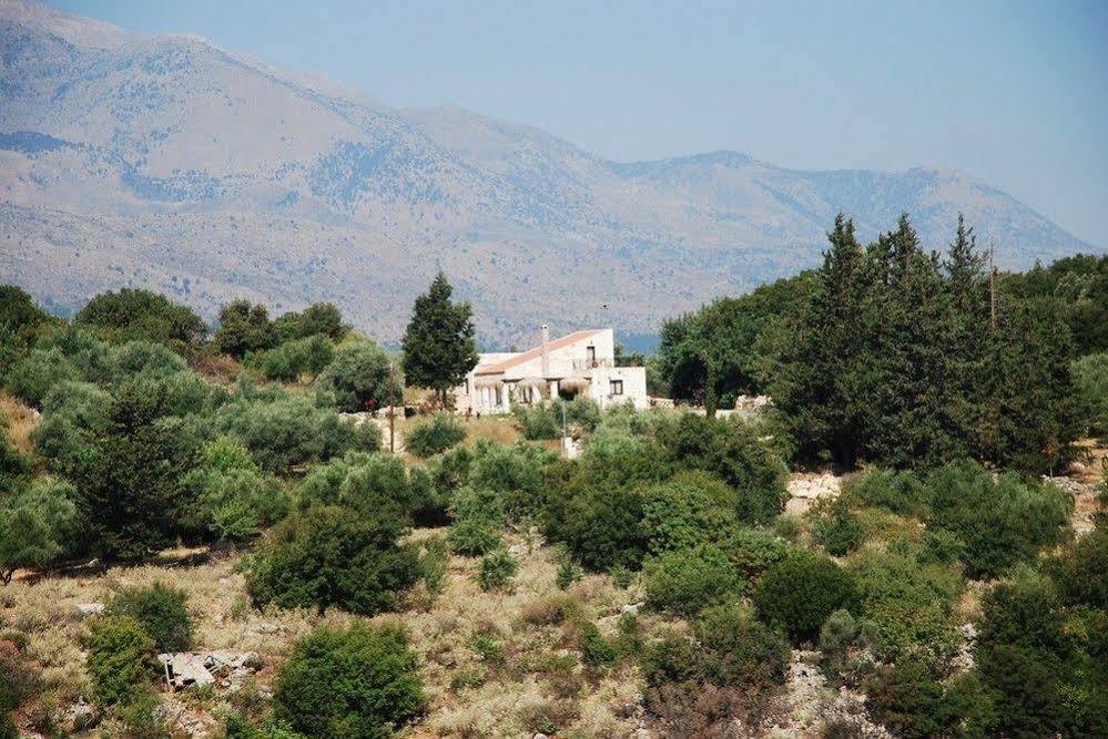 Petra Hotel