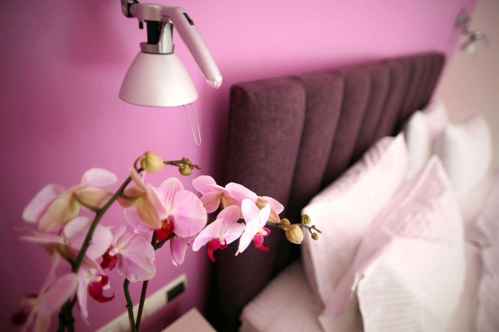 Hotel Seleni Suites Boutique Deluxe