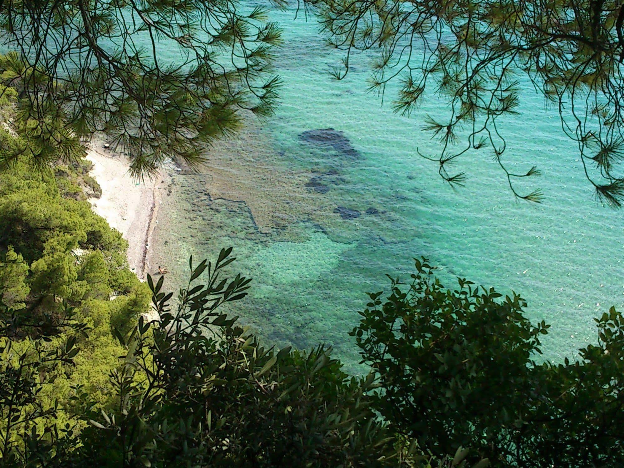 Dryades Hotel 3*