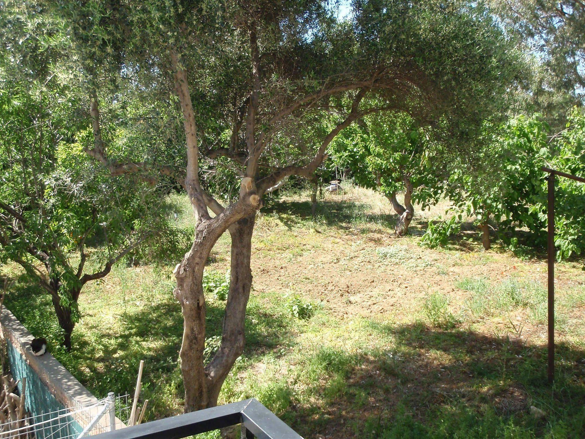 Aparthotel Niriis