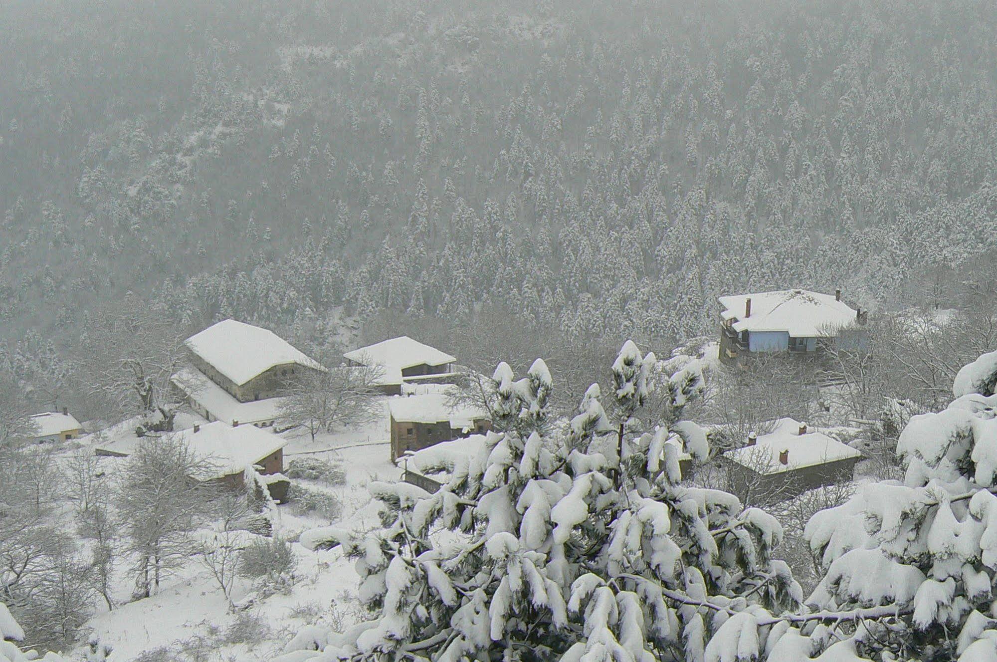Sintrivanis Mountain Hotel Ano Skotina