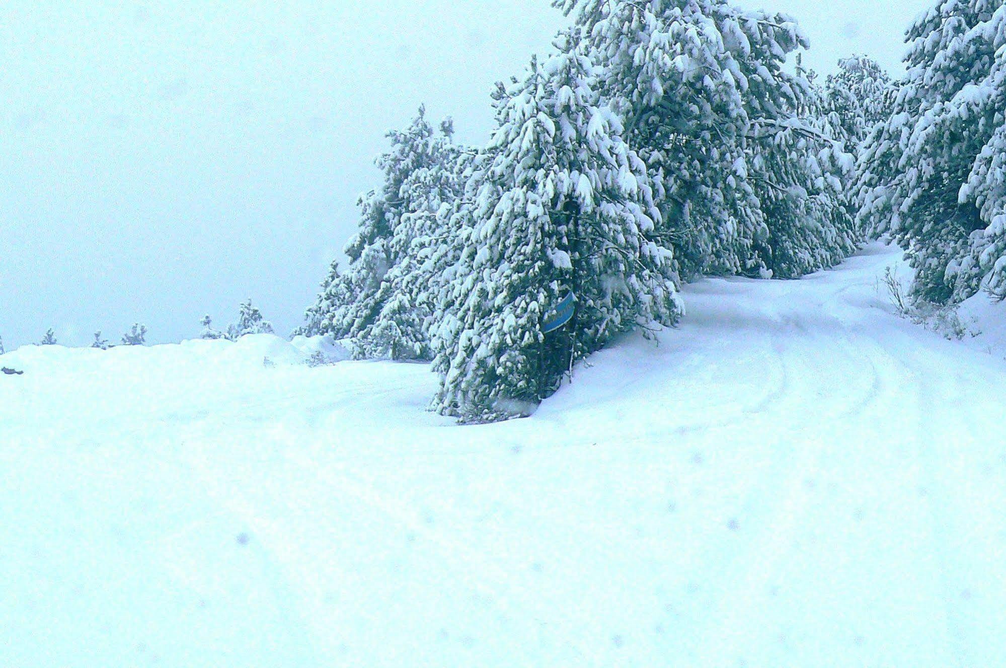 Hotel Sintrivanis Mountain Ano Skotina