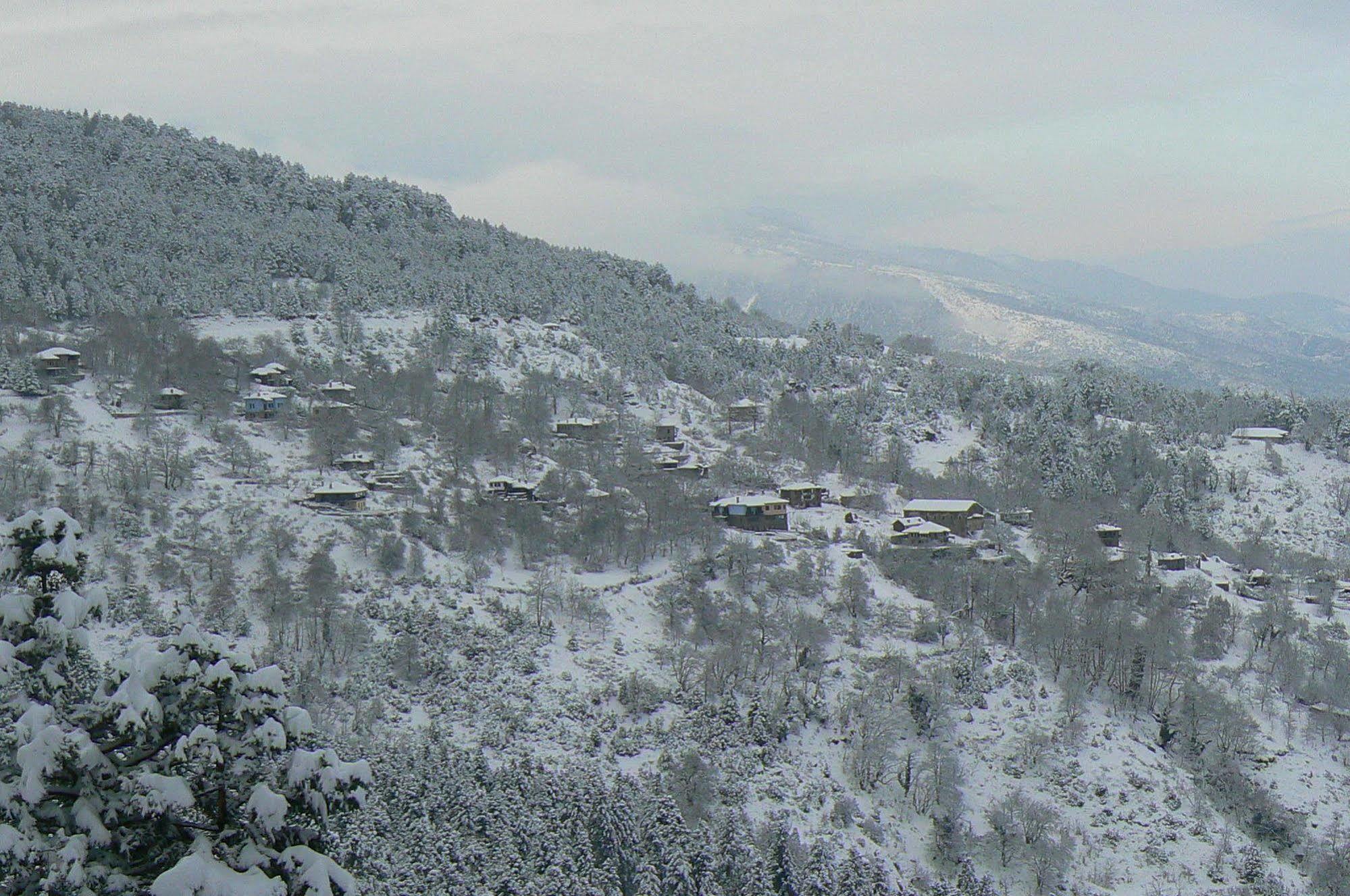 Sintrivanis Mountain Hotel