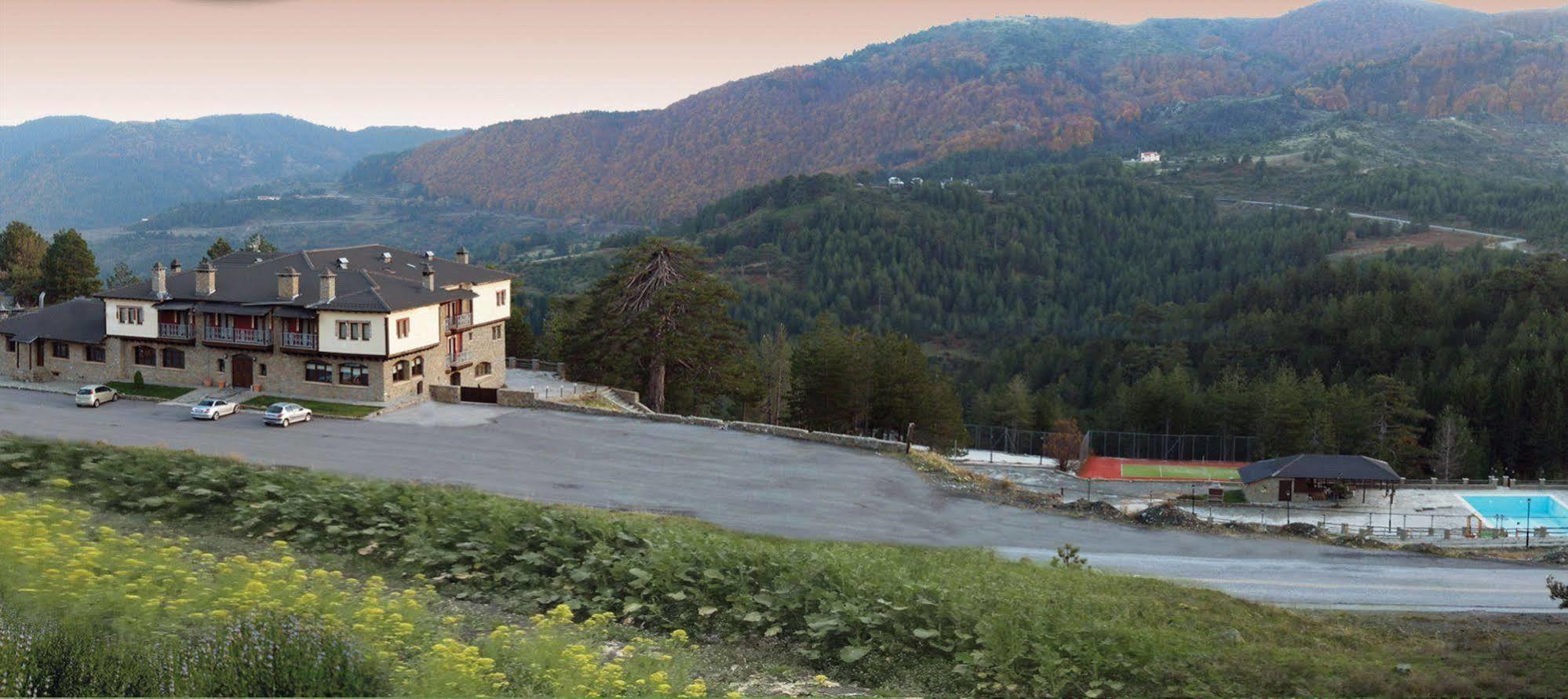 Vasilitsa