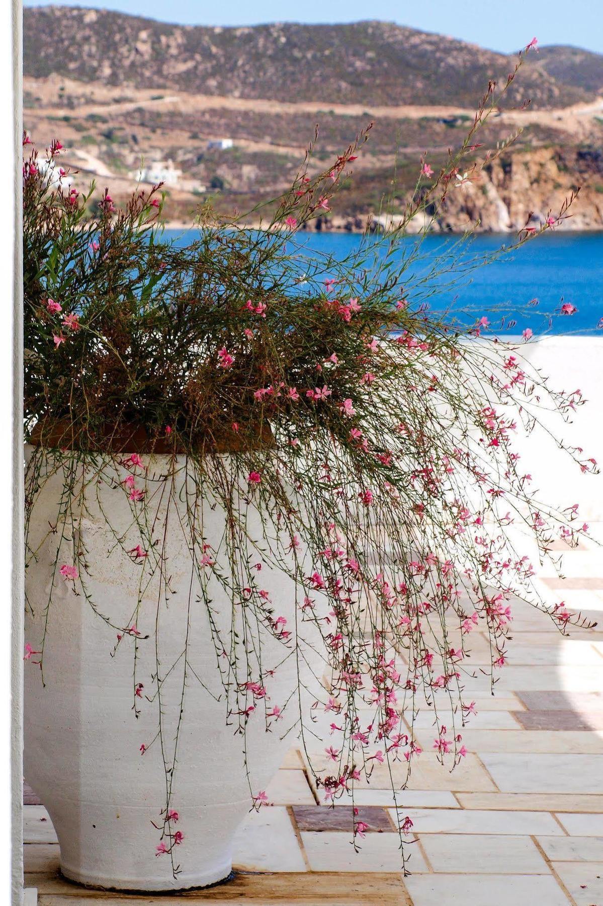 Patmos Paradise Kambos (Patmos)