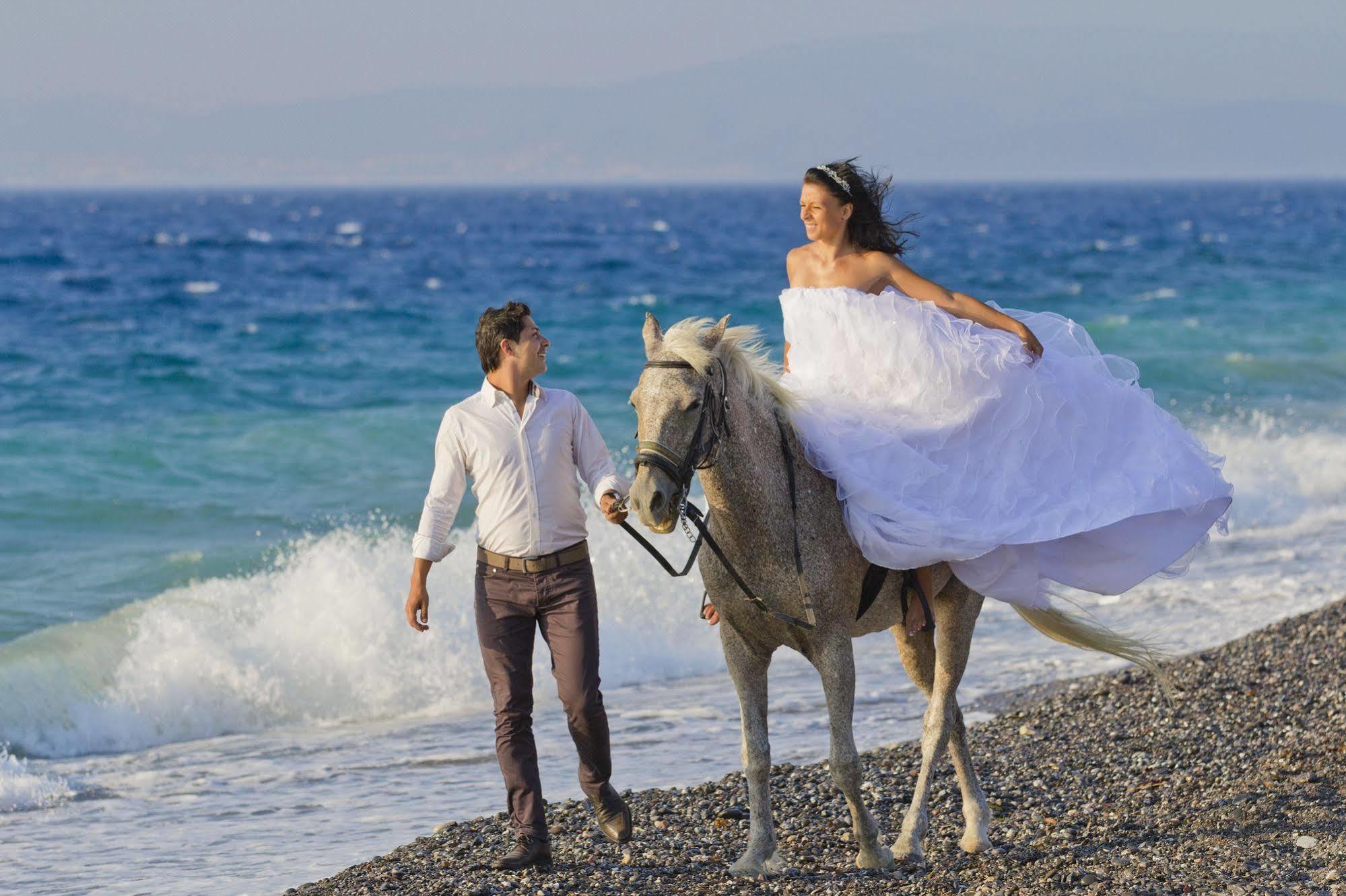Kipriotis Hippocrates (adults Only) 4* Psalidi (Kos)