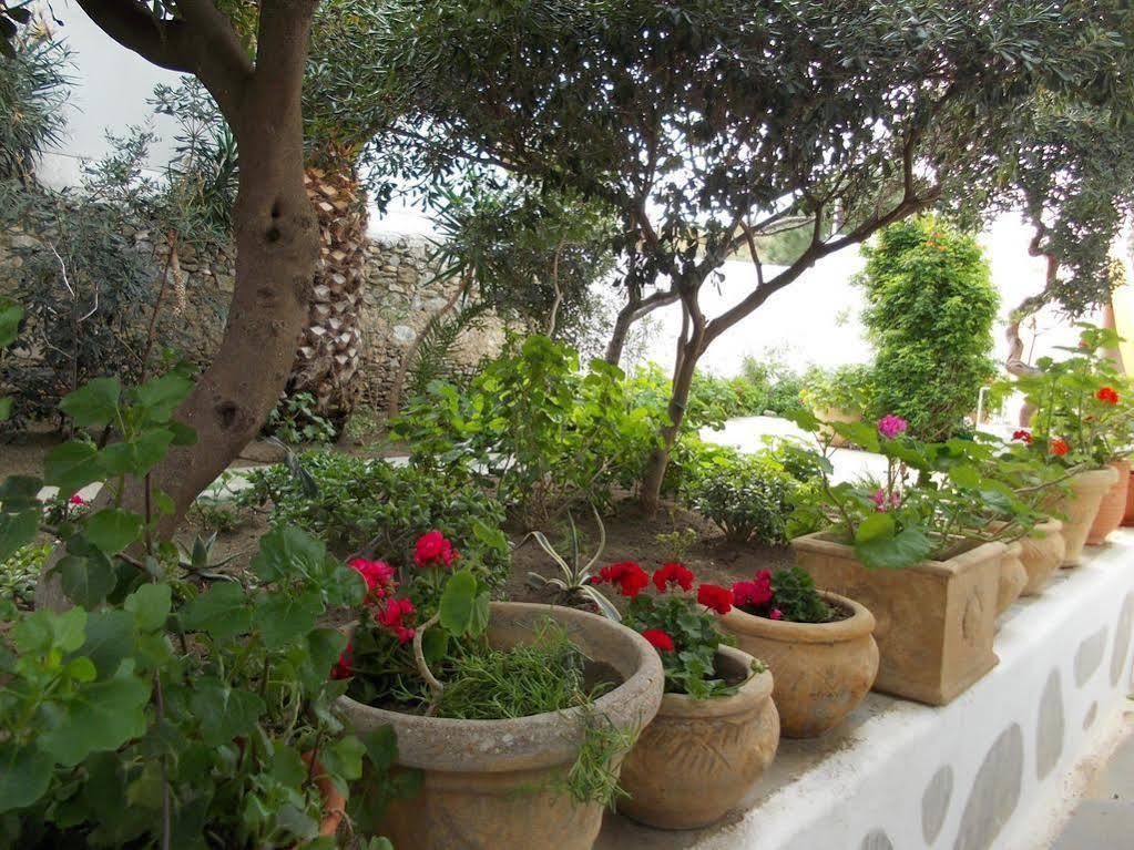 Matina Hotel 2*