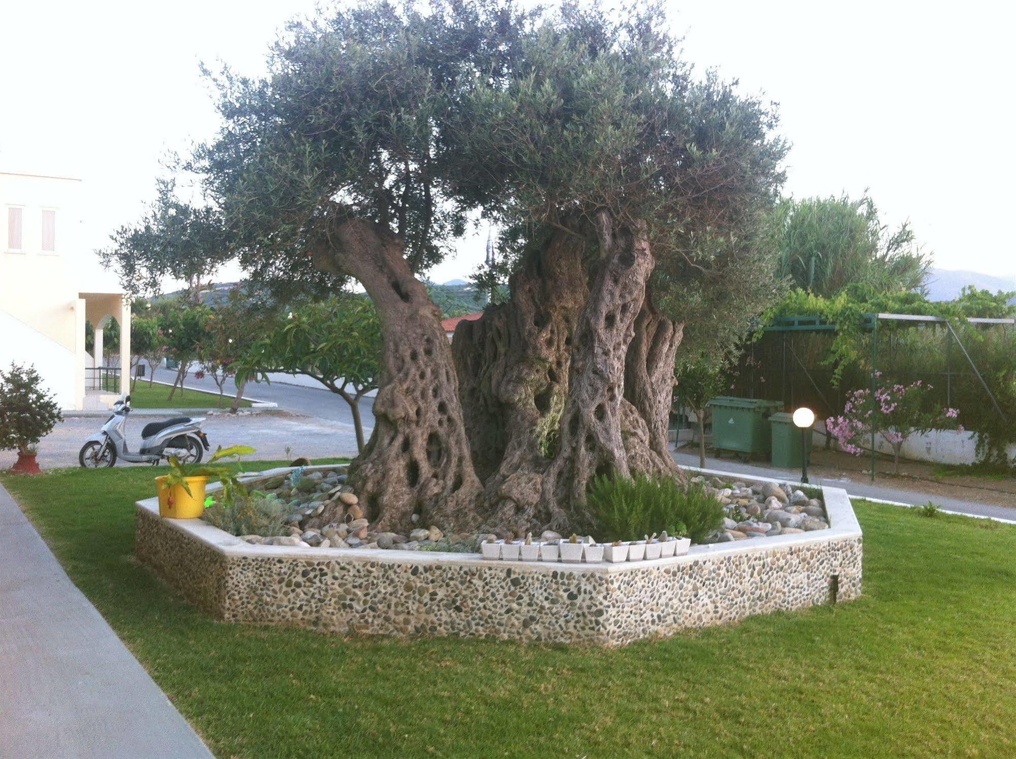 Mediterranean & Aparthotel