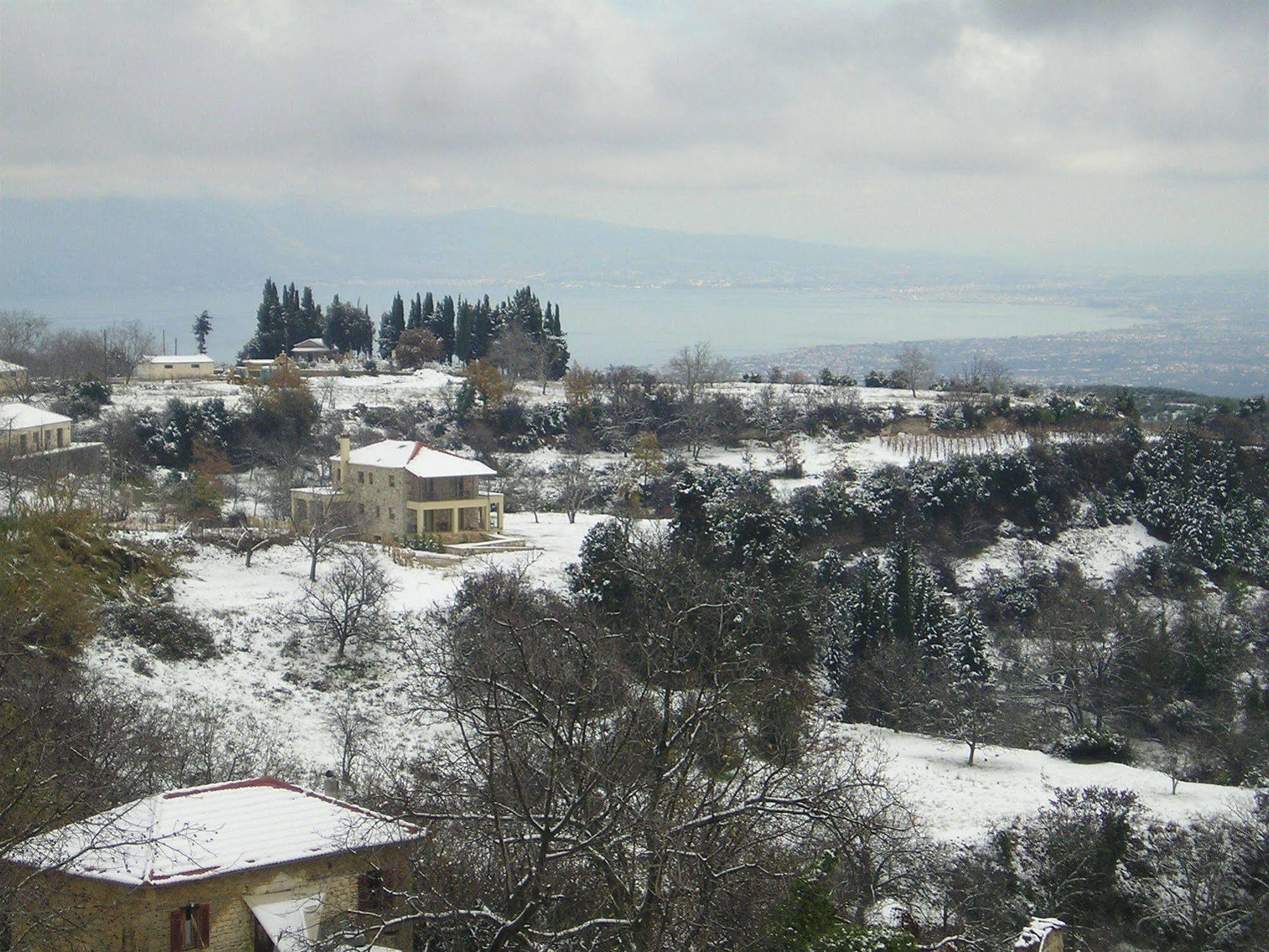 Elisson Krioneri (Corinthia)