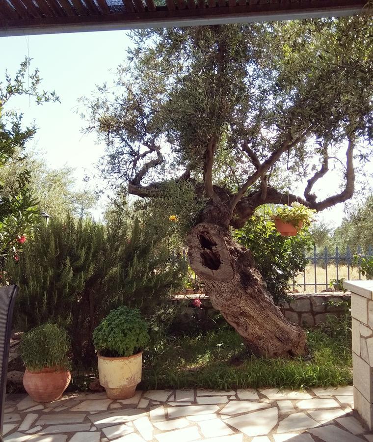 Holiday home Atha-tina:traditional Stone Homes Agios Nikolaos (Mani)