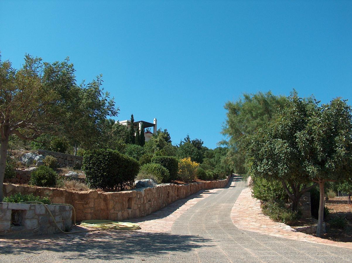 Venus * Avlemonas