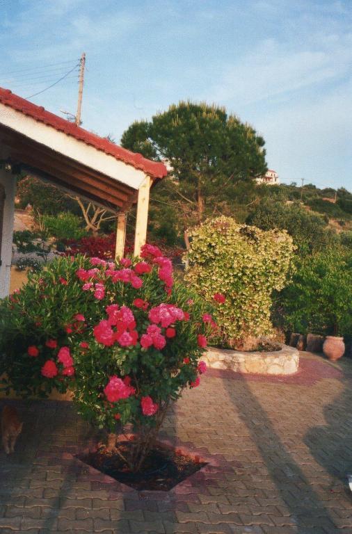 Ventura Apartment Lassi (Kefalonia)