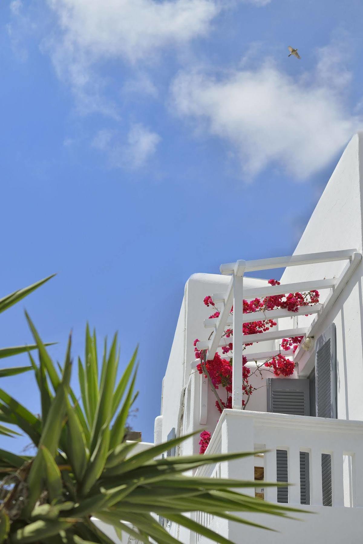 Galini Hotel Mykonos Town