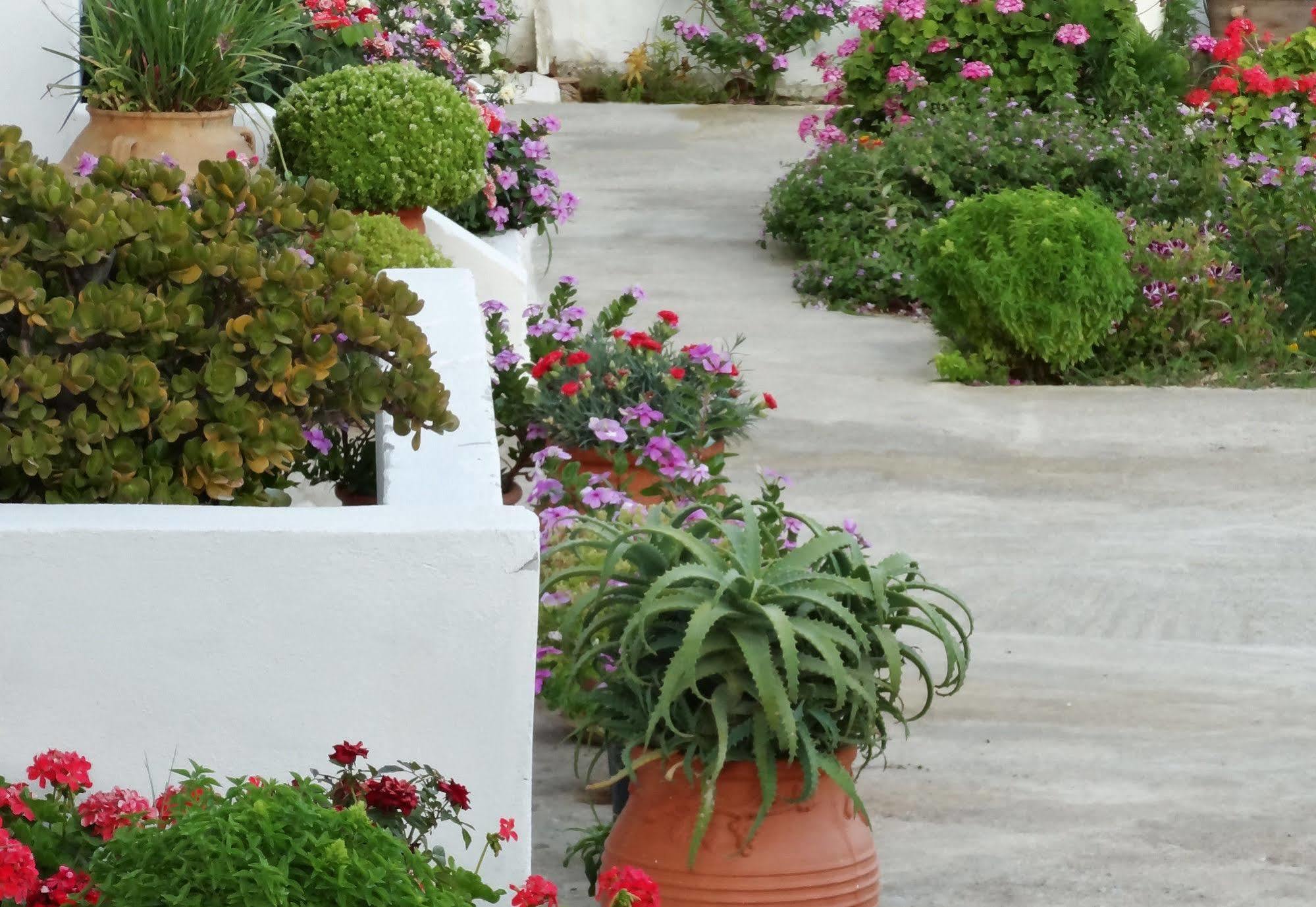 Aparthotel Emilia Plakias