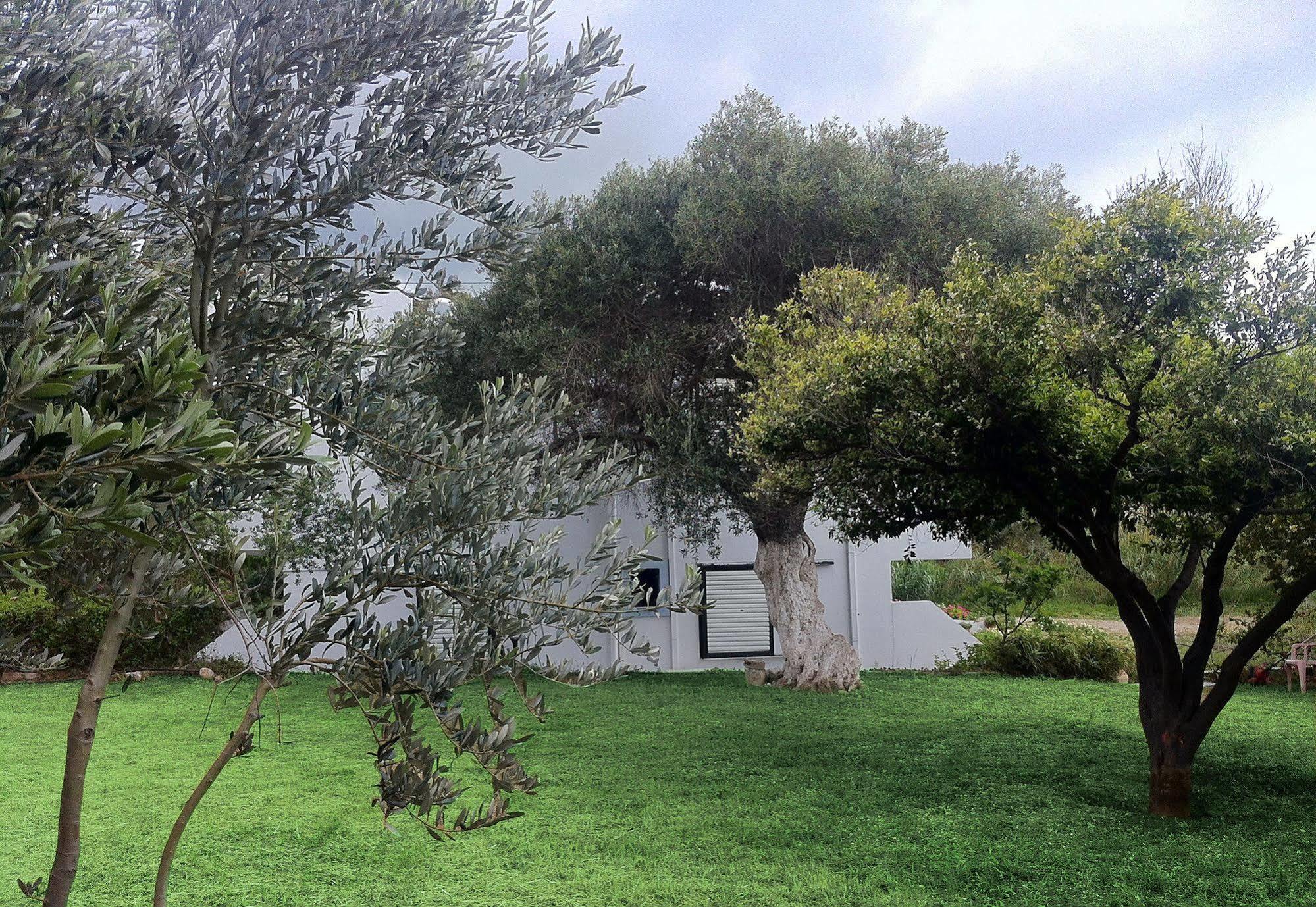 Emilia Aparthotel