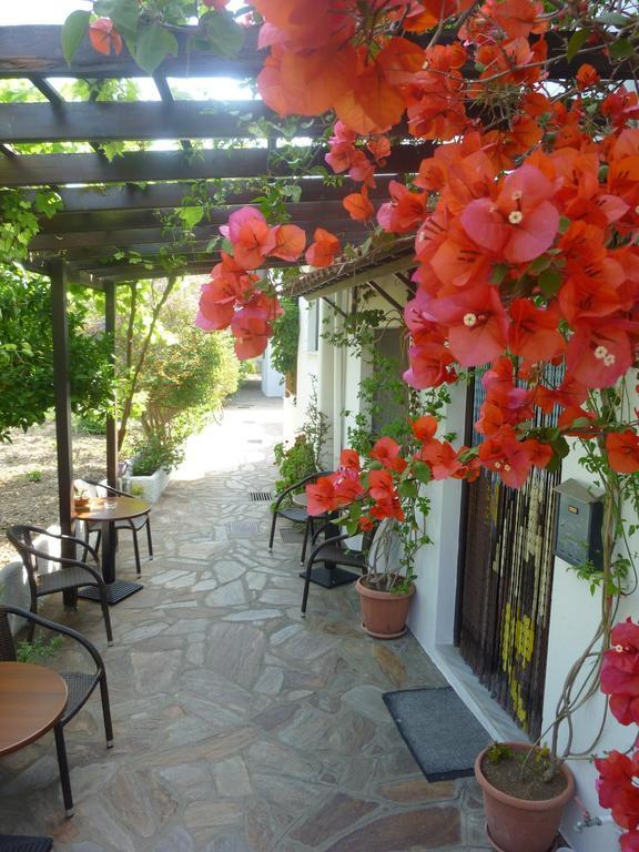 Hotel Golden Sun 2*