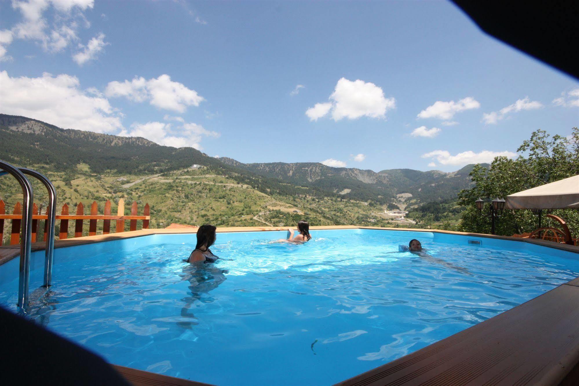 Archontiko Metsovou Luxury Boutique Hotel 4*