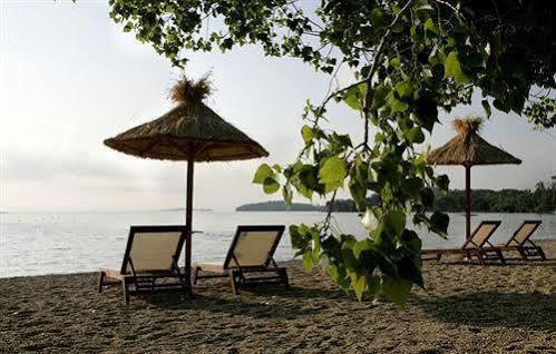 Hotel Dassia Chandris