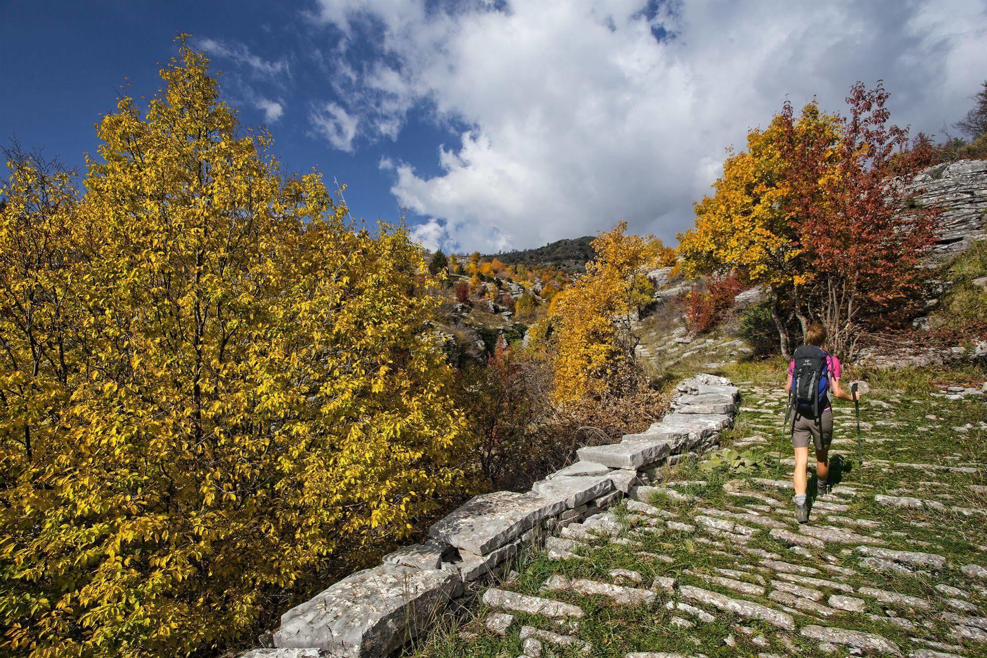 Resort Epirus Palace Congress & Ioannina