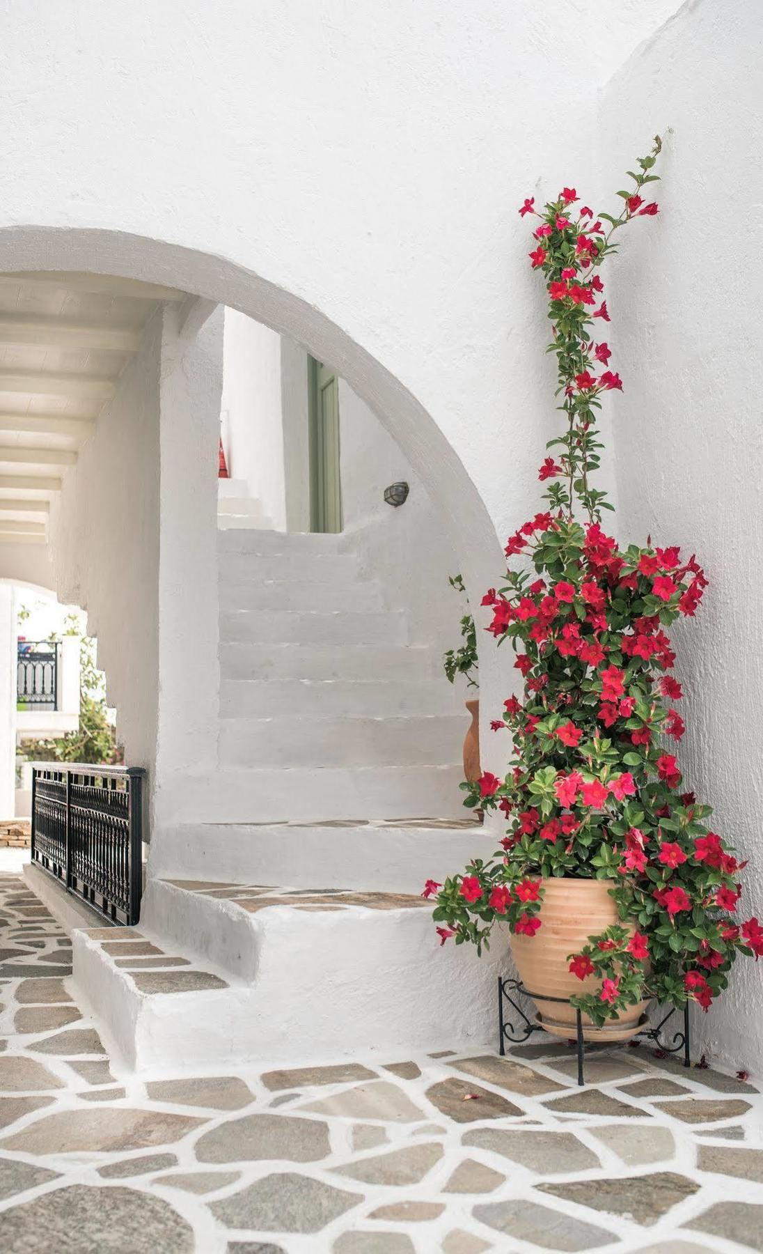 Aparthotel Nastasia Village Naxos City