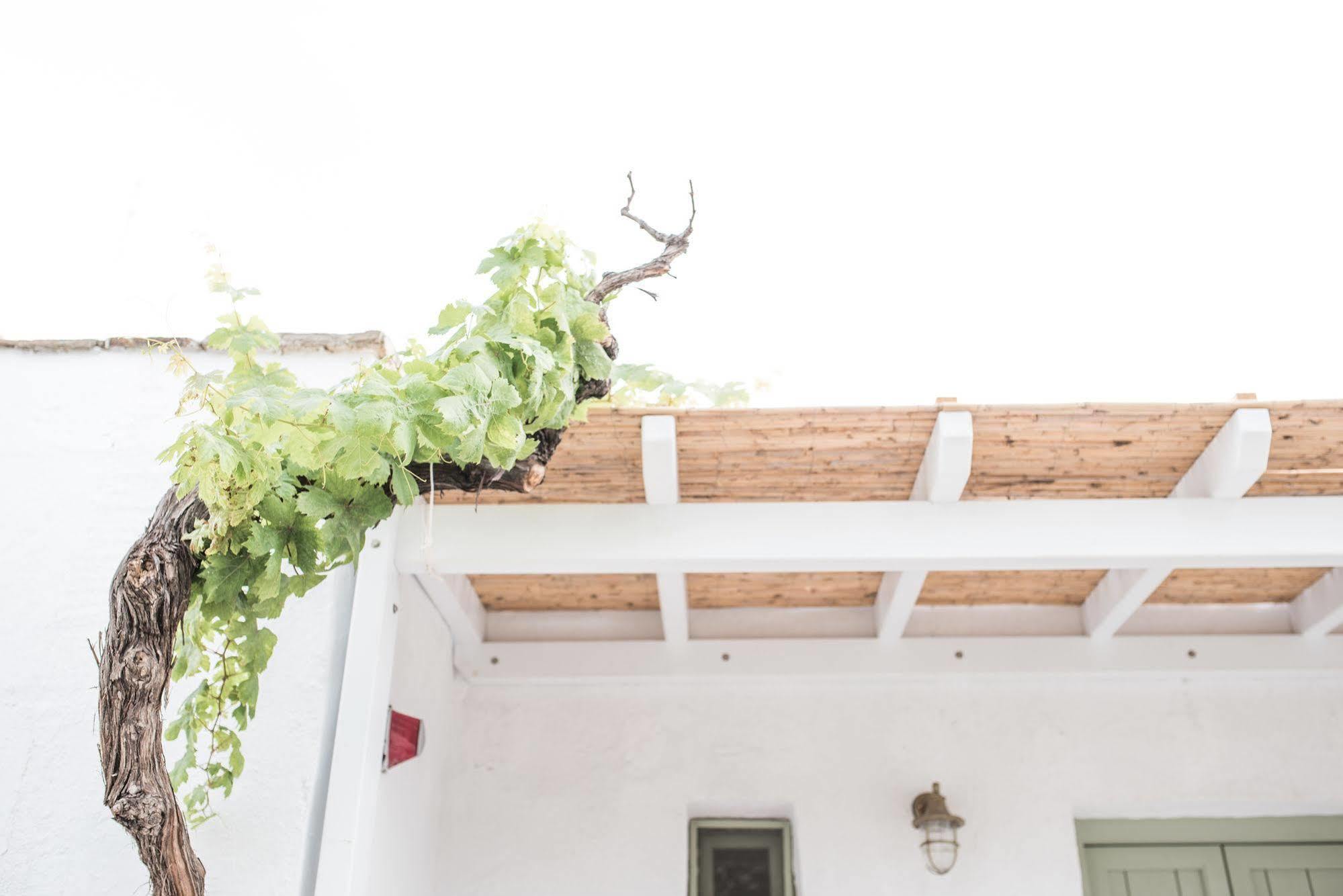 Nastasia Village Naxos City