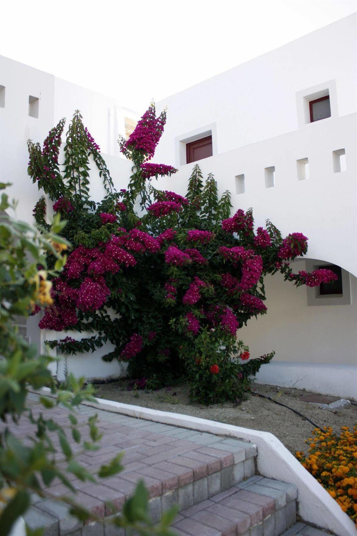 Naxos Palace Hotel 4*