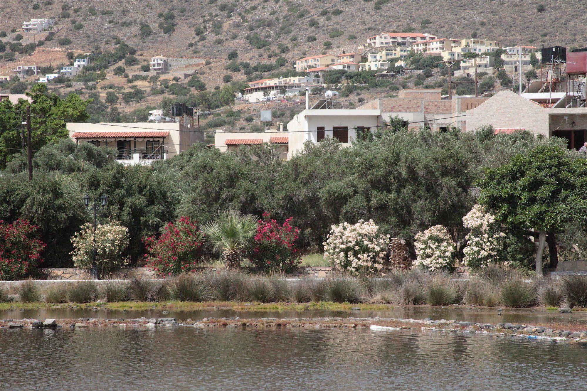 Olive Garden Apts & Elounda (Crete)