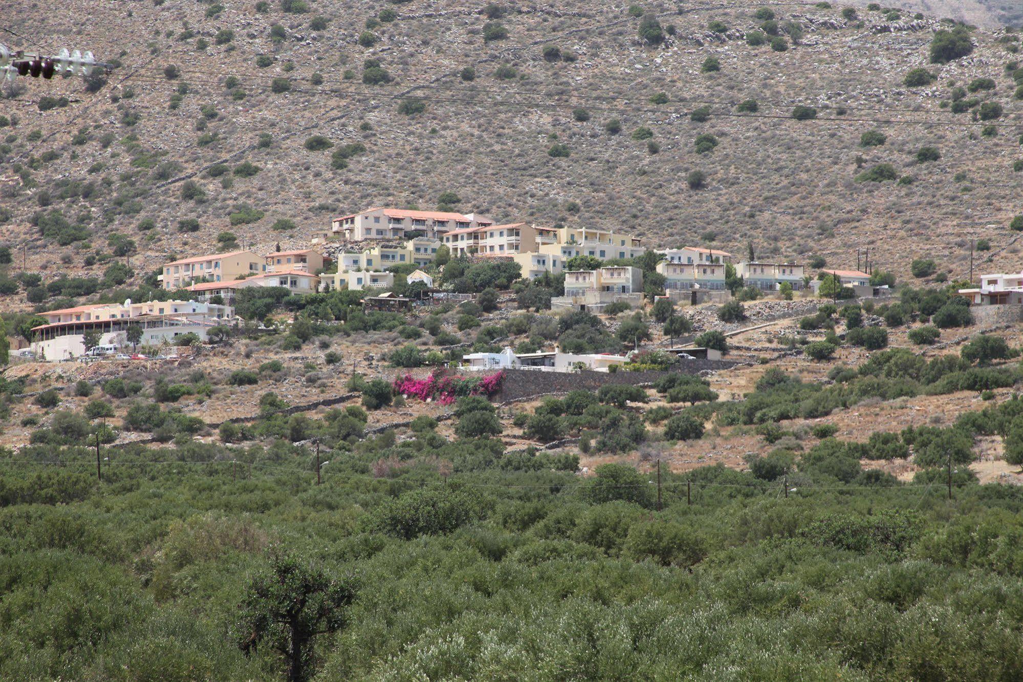 Olive Garden Apts & Apartment *